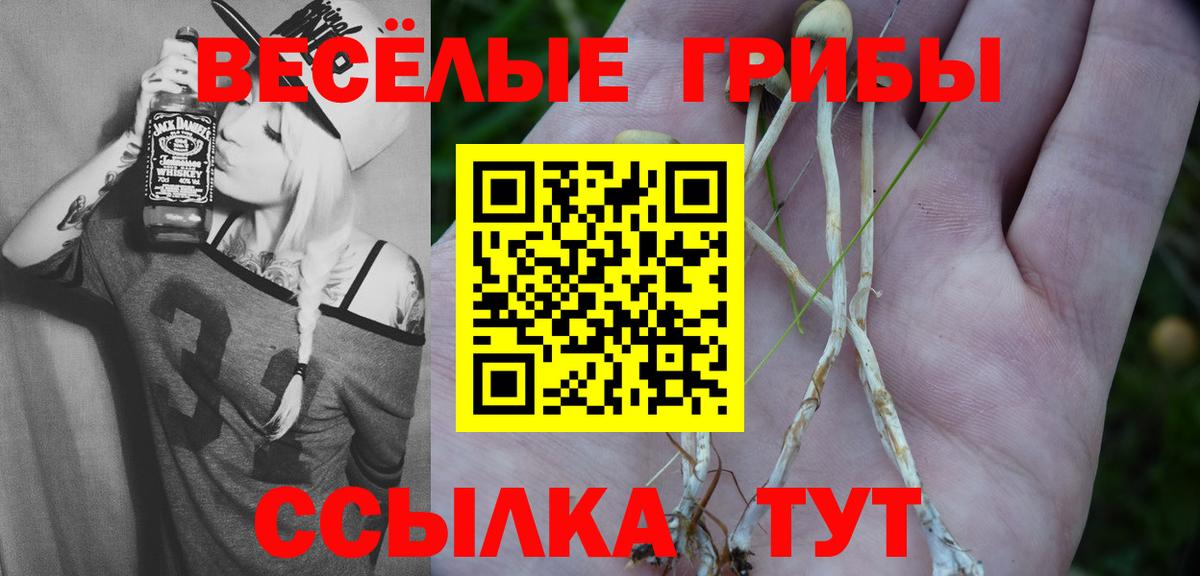 Омск  Галлюциногенные грибы Psilocybe  Вход с VPN 