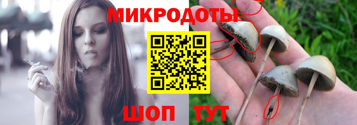 Галлюциногенные грибы Magic Shrooms Омск